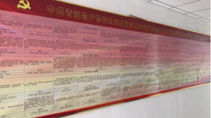 物產配送公司黨委“黨的建設重點強化年”活動2018年工作任務、組織保障具體化